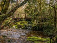 Walking Trails - Peppers Cradle Mountain Lodge